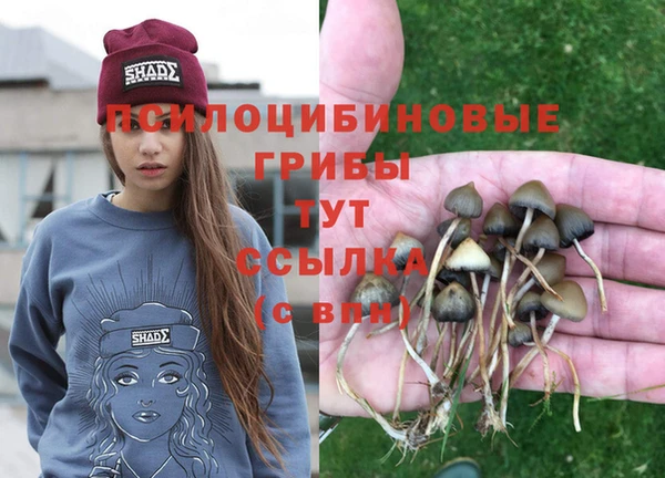 ГАЛЛЮЦИНОГЕННЫЕ ГРИБЫ Белоозёрский