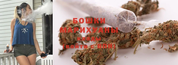 ГАЛЛЮЦИНОГЕННЫЕ ГРИБЫ Белоозёрский