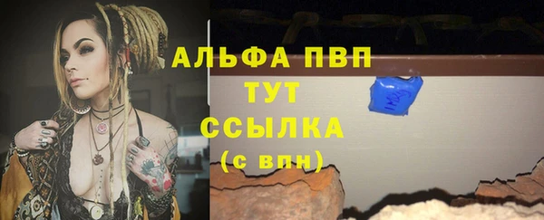 ГАЛЛЮЦИНОГЕННЫЕ ГРИБЫ Белоозёрский