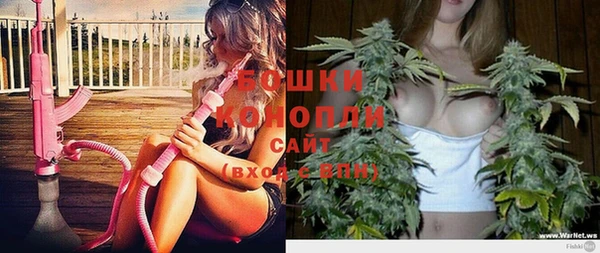 ГАЛЛЮЦИНОГЕННЫЕ ГРИБЫ Белоозёрский