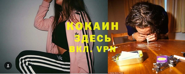 спиды Белокуриха
